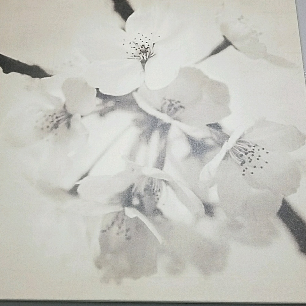 Meet your Posher, Pala